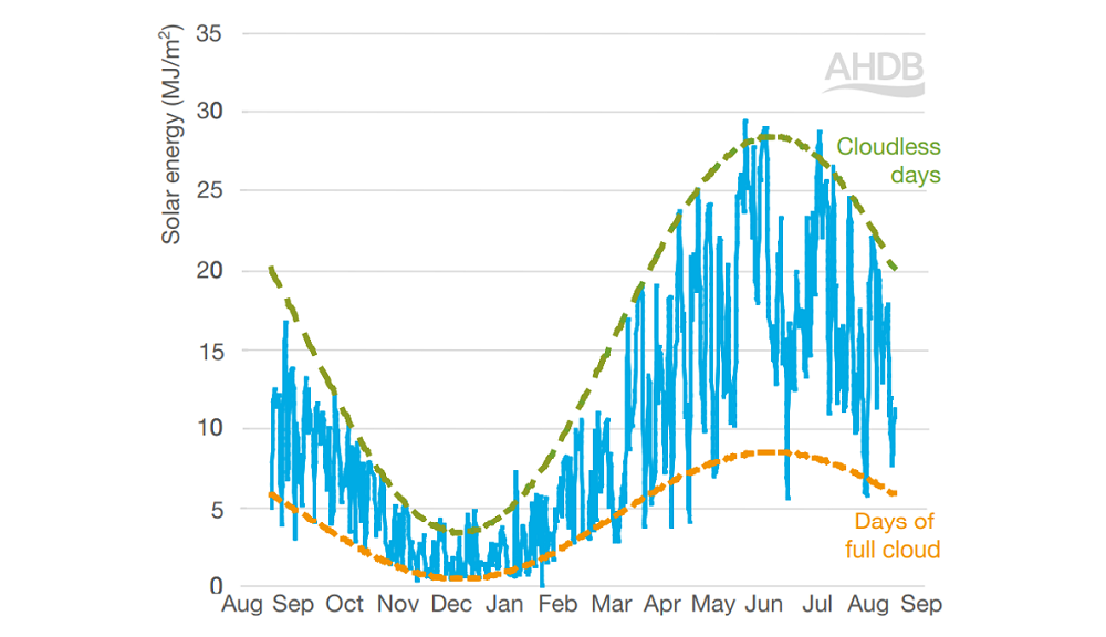 Graph showing the effect of season and cloud cover on solar energy received by winter wheat